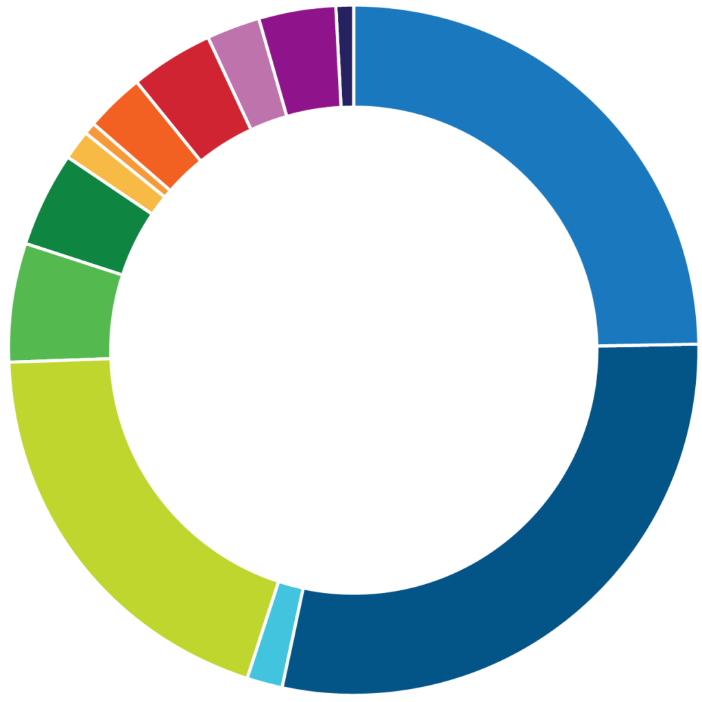 A pie chart