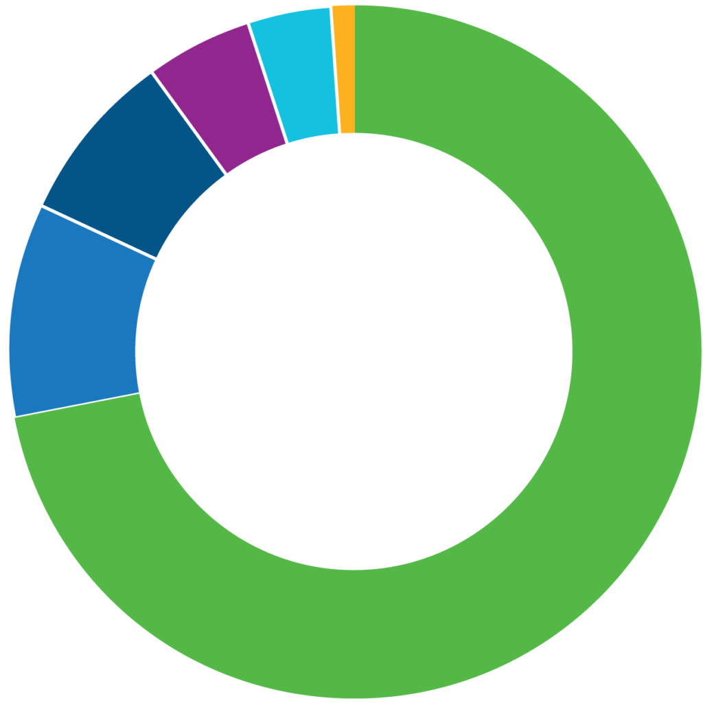 A pie chart
